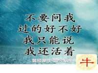 义乌市飒宓电子商务商行