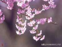 义乌市飒宓电子商务商行