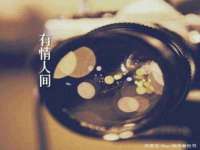 义乌市飒宓电子商务商行