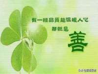 义乌市飒宓电子商务商行