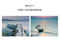 义乌市飒宓电子商务商行