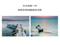 义乌市飒宓电子商务商行