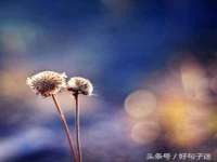 义乌市飒宓电子商务商行