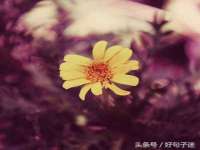 义乌市飒宓电子商务商行