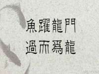 义乌市飒宓电子商务商行