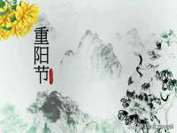 义乌市飒宓电子商务商行