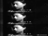 义乌市飒宓电子商务商行