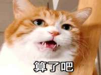 义乌市飒宓电子商务商行
