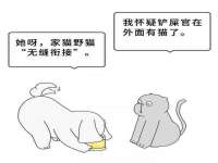 义乌市飒宓电子商务商行