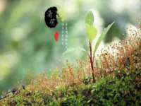 义乌市飒宓电子商务商行