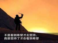 义乌市飒宓电子商务商行