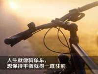 义乌市飒宓电子商务商行