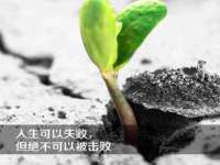 义乌市飒宓电子商务商行
