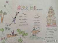 义乌市飒宓电子商务商行