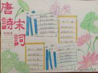 义乌市飒宓电子商务商行