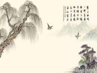 义乌市飒宓电子商务商行