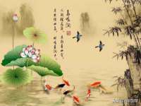 义乌市飒宓电子商务商行