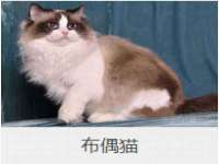 义乌市飒宓电子商务商行