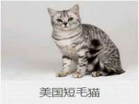 义乌市飒宓电子商务商行