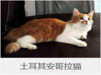 义乌市飒宓电子商务商行