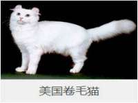 义乌市飒宓电子商务商行