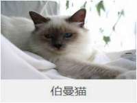 义乌市飒宓电子商务商行