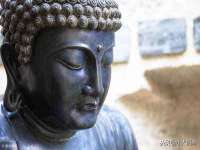 义乌市飒宓电子商务商行