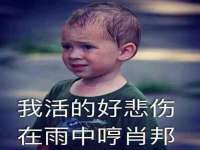 义乌市飒宓电子商务商行