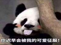 义乌市飒宓电子商务商行