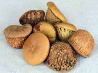 义乌市飒宓电子商务商行