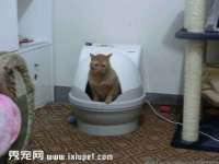 义乌市飒宓电子商务商行