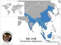 义乌市飒宓电子商务商行