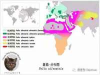 义乌市飒宓电子商务商行