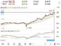 义乌市飒宓电子商务商行