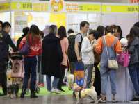义乌市飒宓电子商务商行