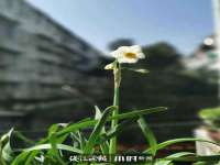 义乌市飒宓电子商务商行