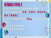 义乌市飒宓电子商务商行