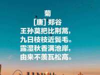 义乌市飒宓电子商务商行