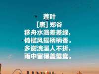 义乌市飒宓电子商务商行