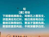 义乌市飒宓电子商务商行