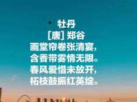 义乌市飒宓电子商务商行