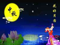 义乌市飒宓电子商务商行