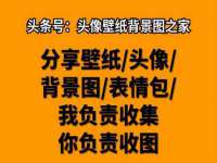 义乌市飒宓电子商务商行