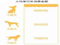 义乌市飒宓电子商务商行