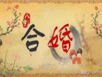 义乌市飒宓电子商务商行