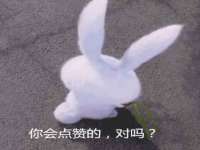义乌市飒宓电子商务商行