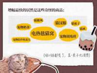 义乌市飒宓电子商务商行