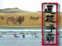 义乌市飒宓电子商务商行
