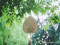 义乌市飒宓电子商务商行