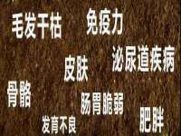 义乌市飒宓电子商务商行